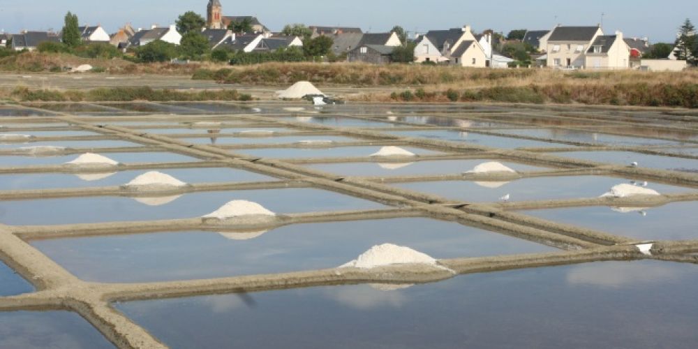 Week-end évasion sur les terres salines du Pays de Guérande